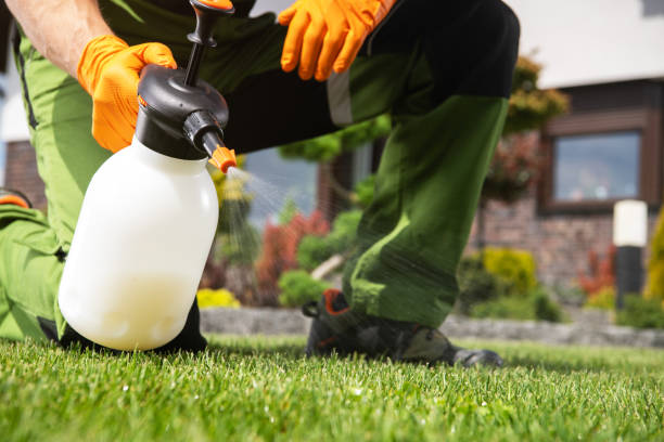 Best Best Pest Control Companies  in West Burlington, IA