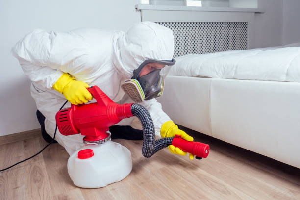 Best Local Pest Control Services  in West Burlington, IA