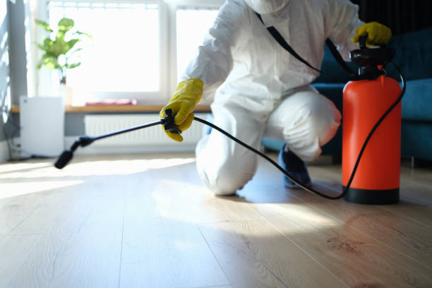 Reliable West Burlington, IA Pest Control Solutions