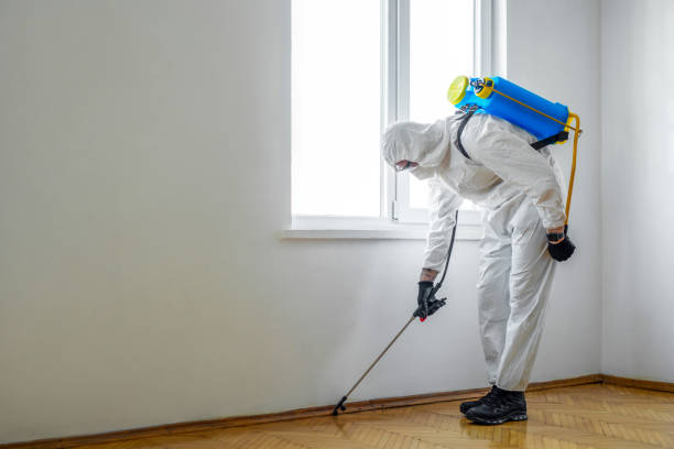 Best Pest Prevention Services  in West Burlington, IA