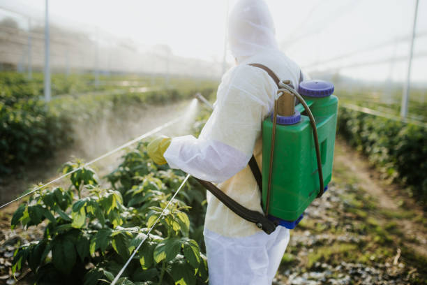 Best Best Pest Control Companies  in West Burlington, IA
